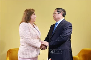 Thủ tướng Phạm Minh Chính gặp Tổng thống Peru Dina Ercilia Boluarte Zegarra. (Ảnh: Dương Giang/TTXVN)