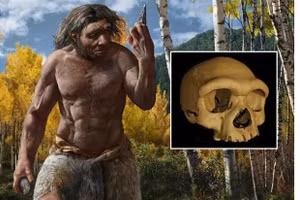 Tiết lộ danh tính 'Người Rồng' qua mảng cao răng