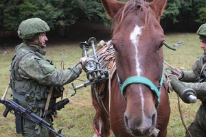 Binh sĩ Nga và ngựa.
