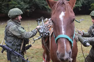 Binh sĩ Nga và ngựa.