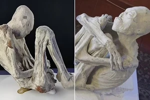 Phát hiện bất ngờ trên xác ướp nghi là người ngoài hành tinh