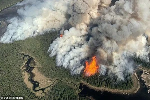 Tuần trước, 6 nhà lập pháp Hoa Kỳ đã viết thư cho đại sứ Canada, phàn nàn rằng khói cháy rừng trôi về phía nam khiến người Mỹ khó tận hưởng mùa hè.