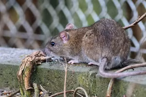 (Ảnh: Global Look Press)