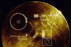 Nếu loài ong có thể hiểu toán học, thì người ngoài hành tinh cũng có thể chia sẻ những khái niệm phổ quát tương tự. Điều đó có nghĩa là những nỗ lực giao tiếp bằng toán học, chẳng hạn như lớp vỏ của những chiếc đĩa vàng trên tàu Voyager One và Two, có thể sẽ thành công.