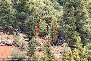 Thêm bằng chứng Bigfoot từ Colorado gây chấn động