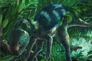 Phục dựng nghệ thuật cổ sinh của Foskeia pelendonum.