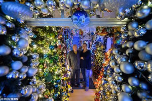 Gia đình gây bão mạng với kỷ lục 621 cây Noel trong nhà