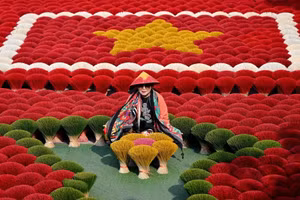 Làng hương Quảng Phú Cầu rực rỡ trên báo nước ngoài