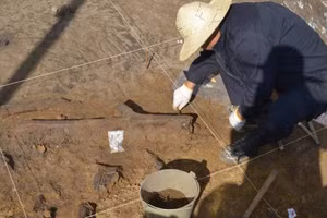 Các nhà khảo cổ học đã khai quật được những công cụ bằng gỗ lâu đời nhất từng được tìm thấy ở Đông Á. Ảnh: Bo Li.