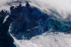 (Ảnh: Global Look Press/NASA Earth)