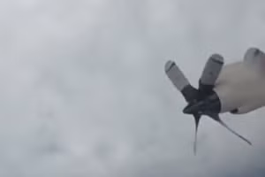 Khoảnh khắc nghẹt thở máy bay lao vào mắt bão Erin