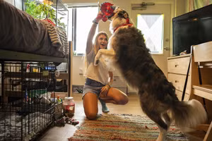 Thú cưng vào ký túc xá Mỹ khiến cuộc sống sinh viên thay đổi