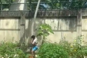 Cái kết kinh hoàng cho thanh niên liều lĩnh vào chuồng sư tử