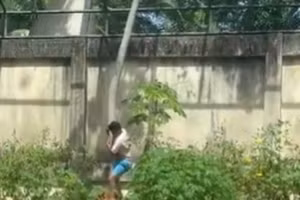 Cái kết kinh hoàng cho thanh niên liều lĩnh vào chuồng sư tử