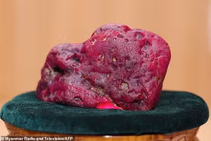 Một viên ruby khổng lồ nặng 11.000 carat vừa được phát hiện tại Myanmar, có trọng lượng tương đương một chú chó nhỏ.