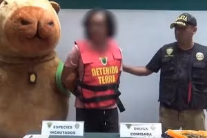 Video cảnh sát capybara bắt sống kẻ buôn ma túy