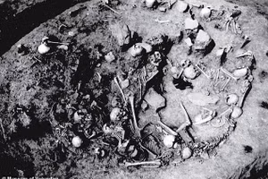 Bức ảnh này cho thấy địa điểm chôn tập thể Gomolava ở Serbia, nơi chứa hài cốt của ít nhất 77 người.