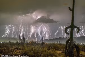 Đây là một trong những hiện tượng thiên nhiên kỳ thú và mạnh mẽ nhất từng xảy ra trên Trái Đất. Giờ đây, các nhà khoa học đã ghi nhận được tia sét dài nhất trong lịch sử.