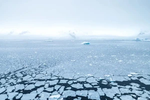 Bất ngờ dưới lớp băng Nam Cực khiến giới khoa học sửng sốt