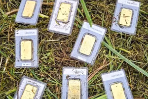 Công nhân phát hiện 8 thỏi vàng khi đang cắt cỏ