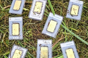 Công nhân phát hiện 8 thỏi vàng khi đang cắt cỏ