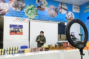 Công nghệ, chuyển đổi số cũng tác động mạnh mẽ tới công tác giảm nghèo bền vững. Ảnh TTXVN