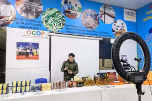 Công nghệ, chuyển đổi số cũng tác động mạnh mẽ tới công tác giảm nghèo bền vững. Ảnh TTXVN