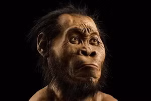 Việc phát hiện ra loài Homo naledi đã gây chấn động cộng đồng cổ sinh vật học.