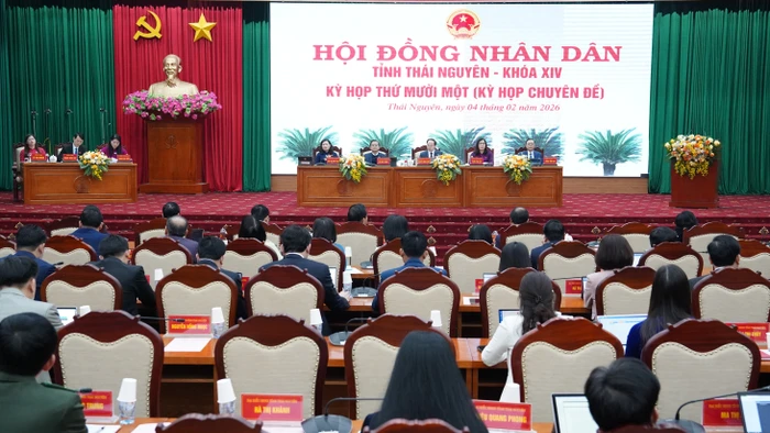 Kỳ họp thứ mười một (kỳ họp chuyên đề), HĐND tỉnh Thái Nguyên.