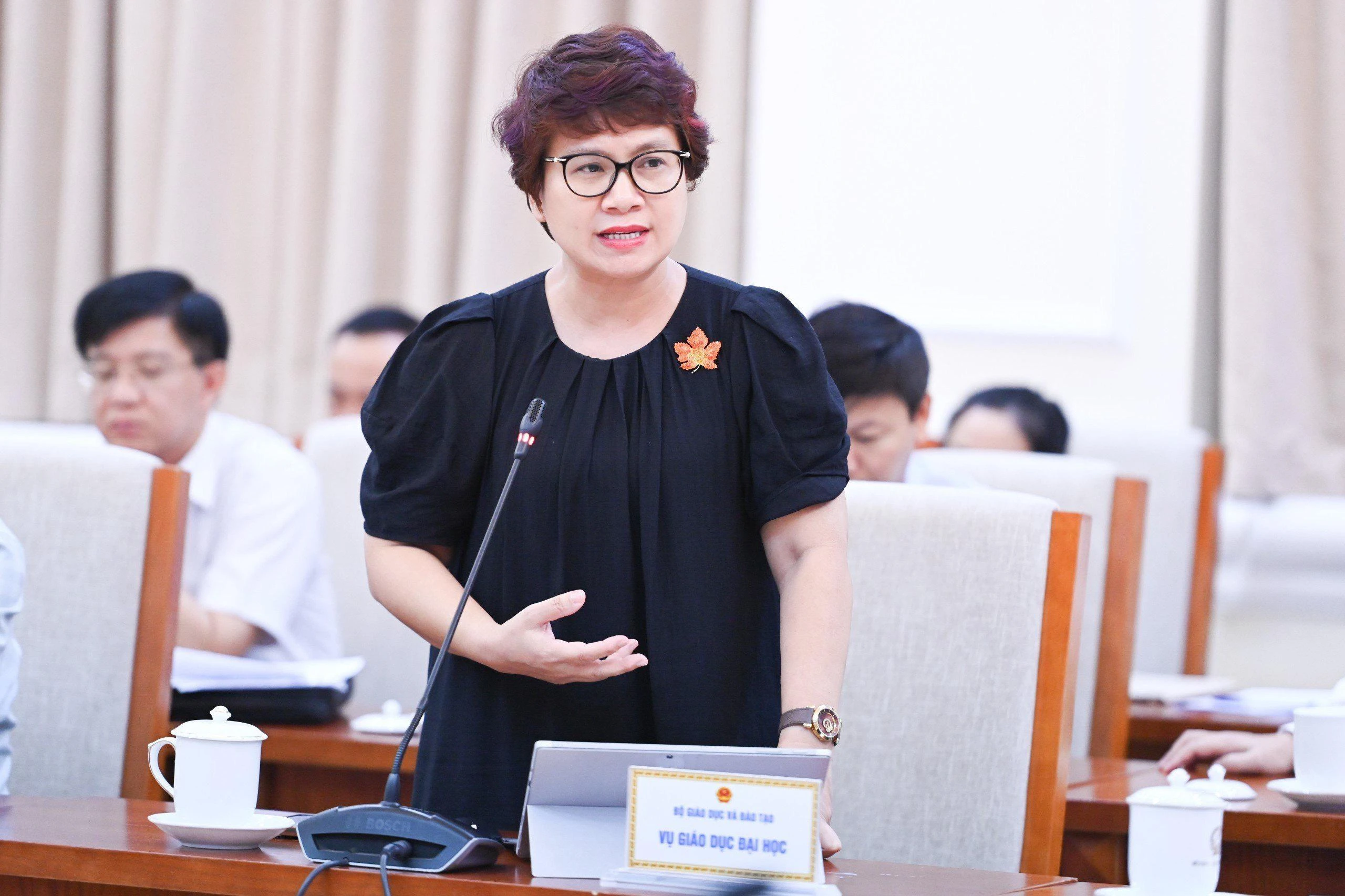 hoi nghi phap che 2.jpg