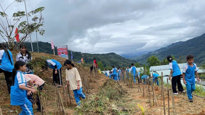 Học sinh Trường Phổ thông dân tộc bán trú Tiểu học & THCS Trà Nam làm đất, trồng cây dược liệu tại vườn trường.