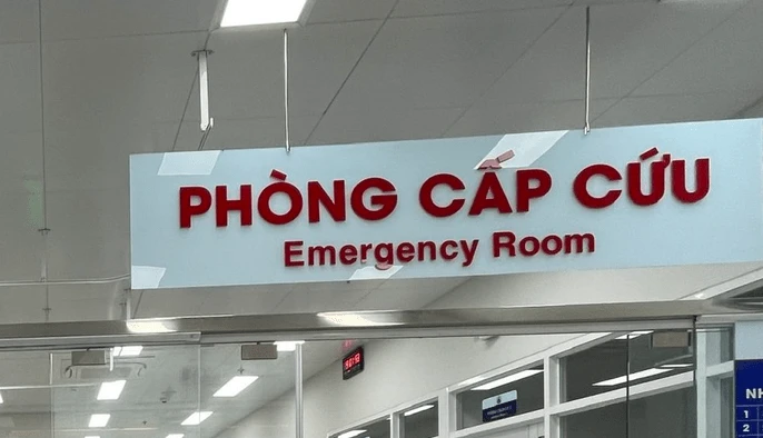 Ngành Y tế TPHCM hướng về ngày bầu cử. (Ảnh minh họa).