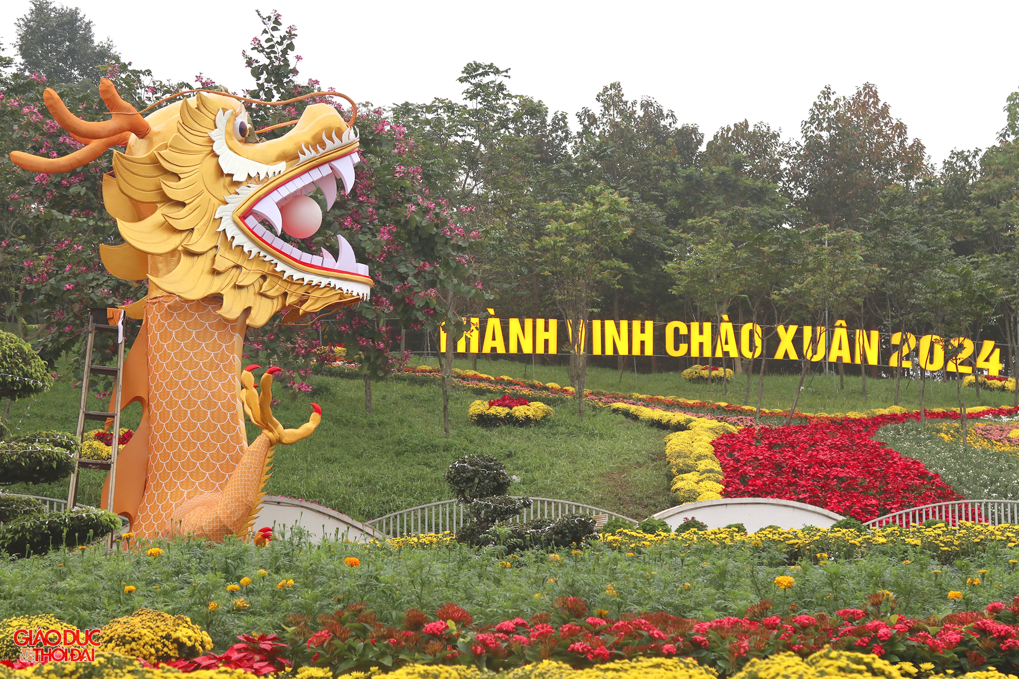 Linh vật rồng dài 30m, cao 5m đặt Quảng trường Hồ Chí Minh (tại TP Vinh, Nghệ An).