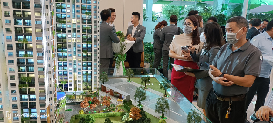 TPHCM cấp 5.789 sổ hồng trong năm 2024.