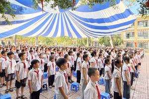 Hà Nội xác minh bữa ăn bán trú của học sinh có 'tóp mỡ'