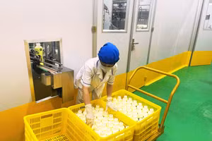 Công nhân tại Công ty CP Sữa Núi Tản Ba Vì đang xếp sữa. Ảnh: INT.