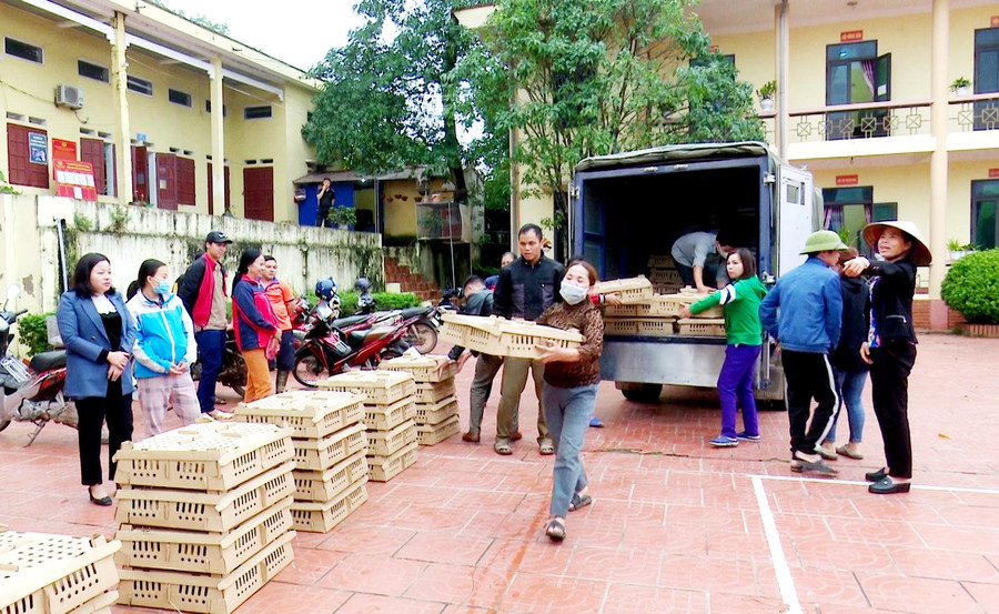 Hộ nghèo ở xã Tân Kim (Phú Bình) nhận gà giống hỗ trợ 