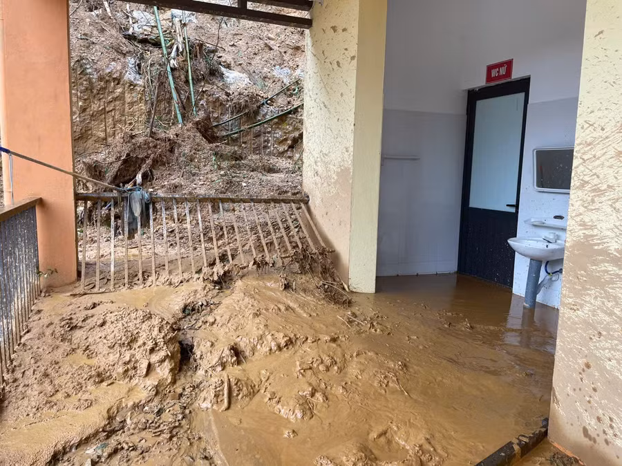 1e04b4000892afccf683 (1).jpg