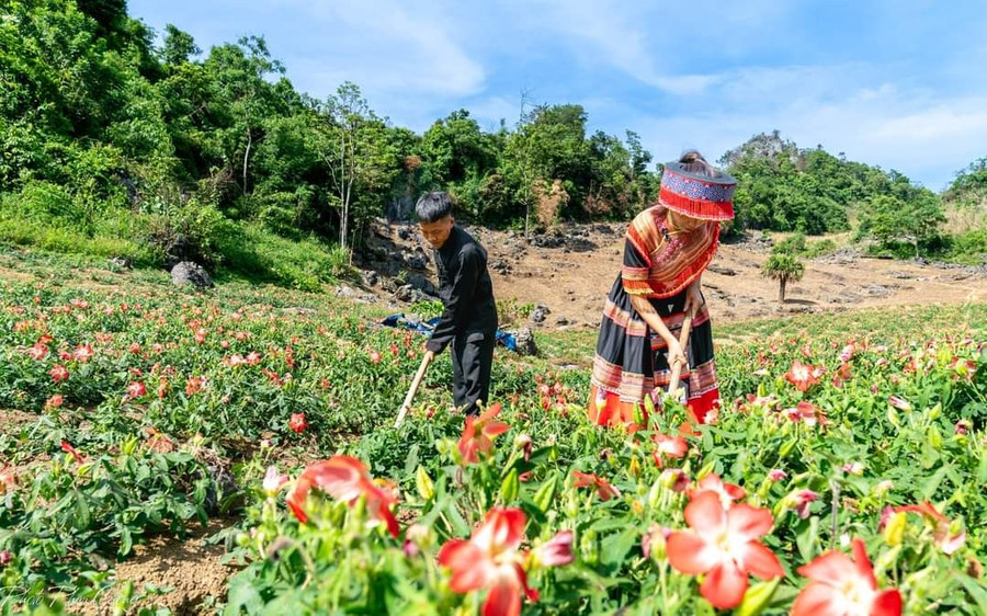 Phát huy vai trò người có uy tín trong vùng đồng bào dân tộc thiểu số ở Thái Nguyên