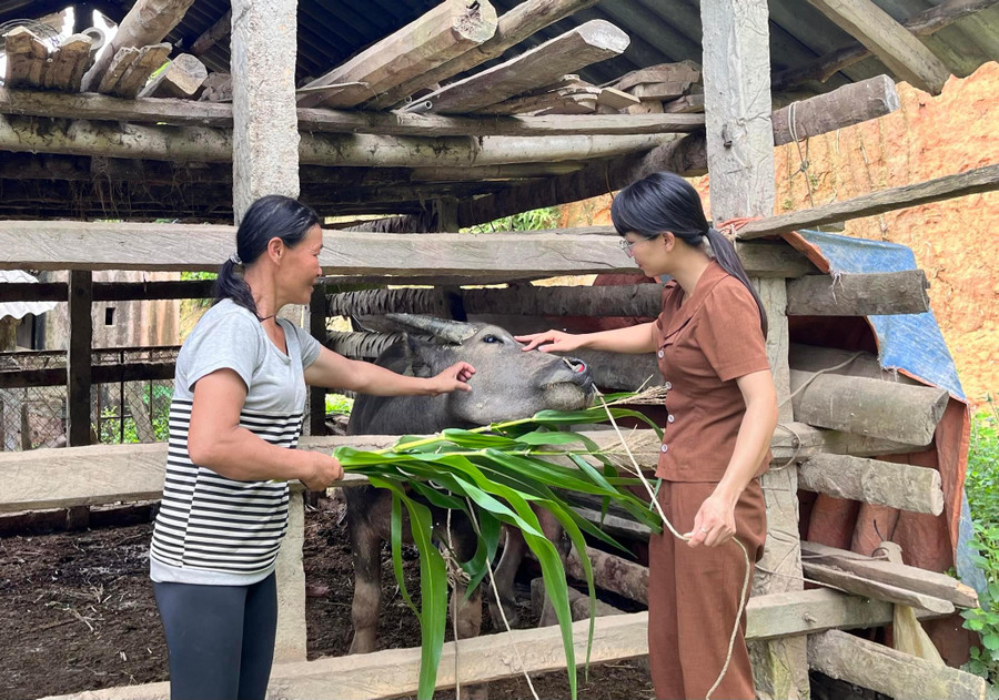 Tạo sinh kế bền vững - hướng đi quan trọng giúp bà con thoát nghèo.