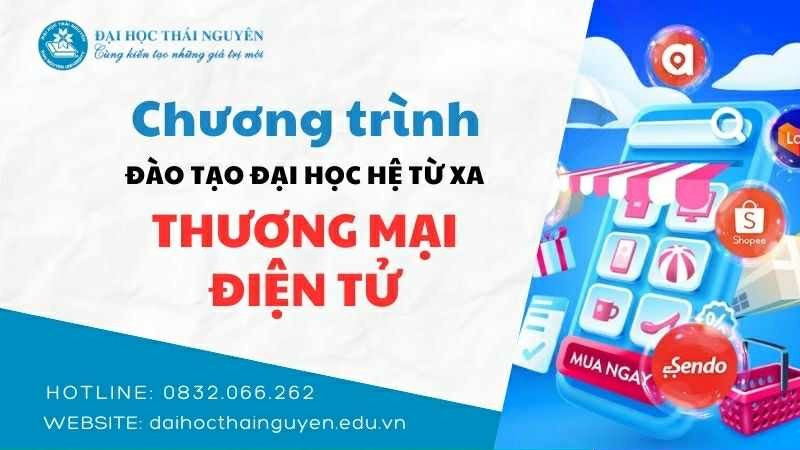 Chương trình Đào tạo Đại học hệ từ xa Thương mại điện tử.