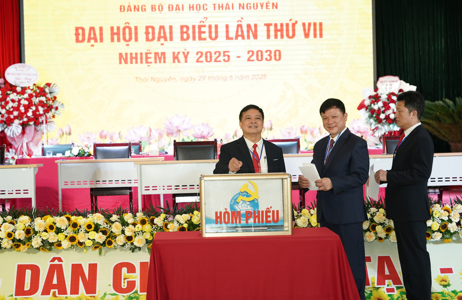 Đại biểu tham gia bỏ phiếu. q-a01413.jpg