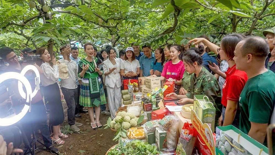 Thái Nguyên khai trương gian hàng sản phẩm trên sàn Shopee.