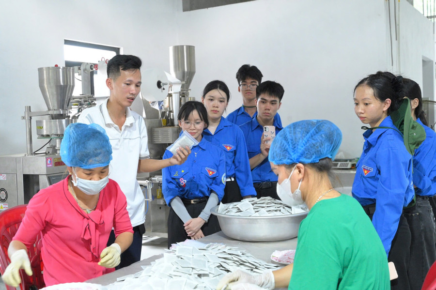HTX còn tập trung vào quy trình sản xuất và nâng cao chất lượng sản phẩm. muop-dang-rung-2.jpg