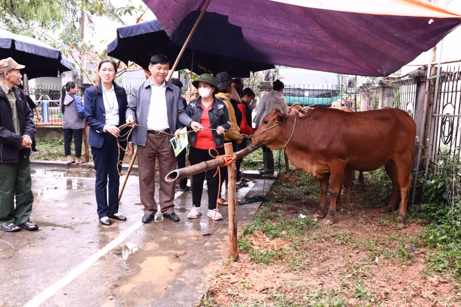 Những chương trình hỗ trợ giúp bà con có điều kiện vươn lên thoát nghèo