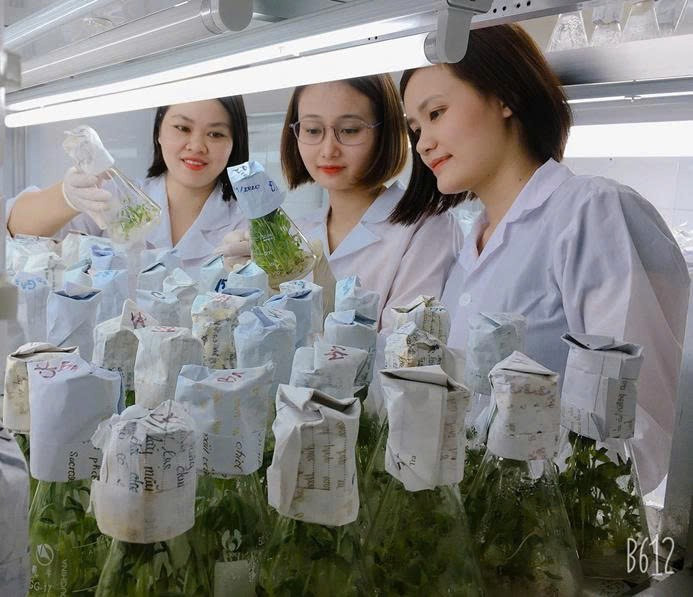 Trường Đại học Sư phạm (ĐH Thái Nguyên) chính thức triển khai chương trình đào tạo ngành Sinh học theo hướng ứng dụng gắn với thực tiễn và hội nhập quốc tế.