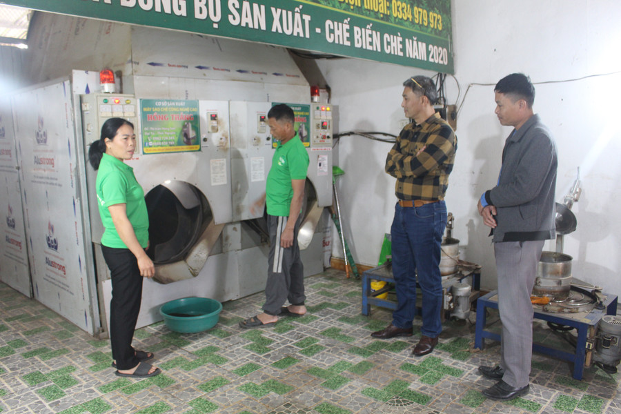 HTX chè Hải Yến được thành lập từ năm 2018 với 7 thành viên ban đầu.