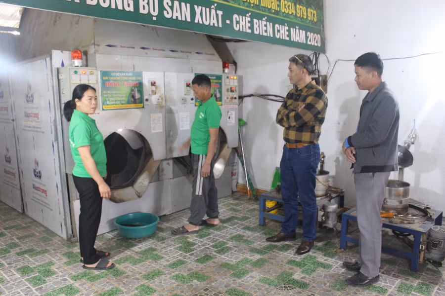 HTX chè Hải Yến được thành lập từ năm 2018 với 7 thành viên ban đầu.