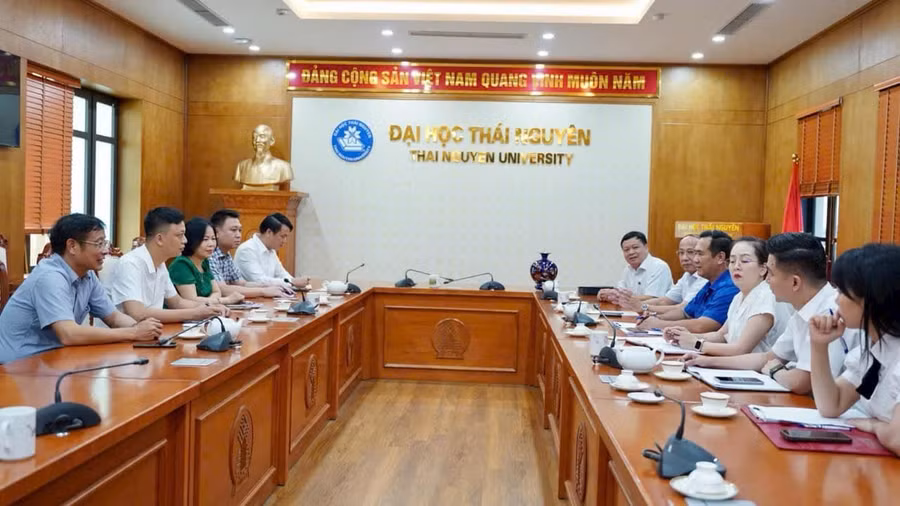 Thúc đẩy hợp tác trong đào tạo từ xa.