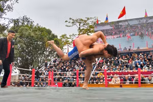 Các đô vật đến từ các tỉnh thành phố: Hà Nội, Bắc Ninh, Ninh Bình, Thanh Hoá và đội chủ nhà Hải Phòng thi đấu tại giải vật mùa xuân đình làng Vĩnh Khê, phường An Đồng, quận An Dương (Hải Phòng) ngày 4/2.